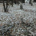  ,  , 47  -  17  2020    