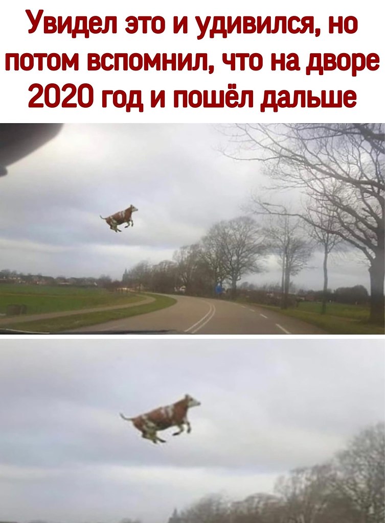 ������ - 5 ������� 2020 � 11:45