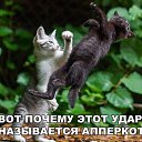  ,  -  7  2020   07.12.2020...   ..