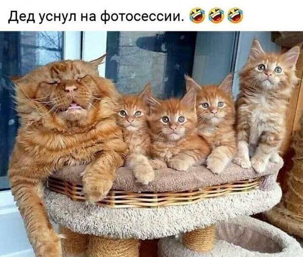  - 26  2021  13:10