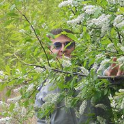 Albert, , �����