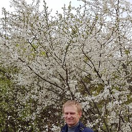 ������, �����-���������, 50 ���