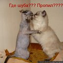 ���� �������, ������, 54 ���� - ��������� 23 �������� 2020 � ������ ���� ����������