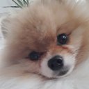 ���� Elena, ������� - ��������� 3 ������� 2021 � ������ ������ ��������