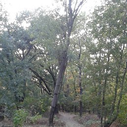 �����, ������-��-����, 47 ���