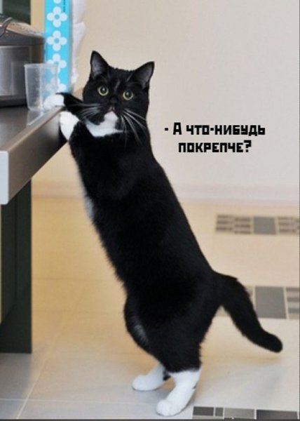       - 25  2020  19:06 - 3