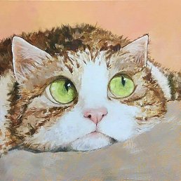 ������, �����, 62 ����