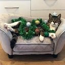 ���� ����, ������, 58 ��� - ��������� 31 ������� 2020 � ������ ���� ����������