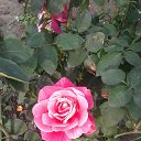 ���� Denis, �������� - ��������� 6 ������ 2020 � ������ ������ - ���� ))�