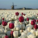 ���� �������, �������, 39 ��� - ��������� 28 ������� 2020