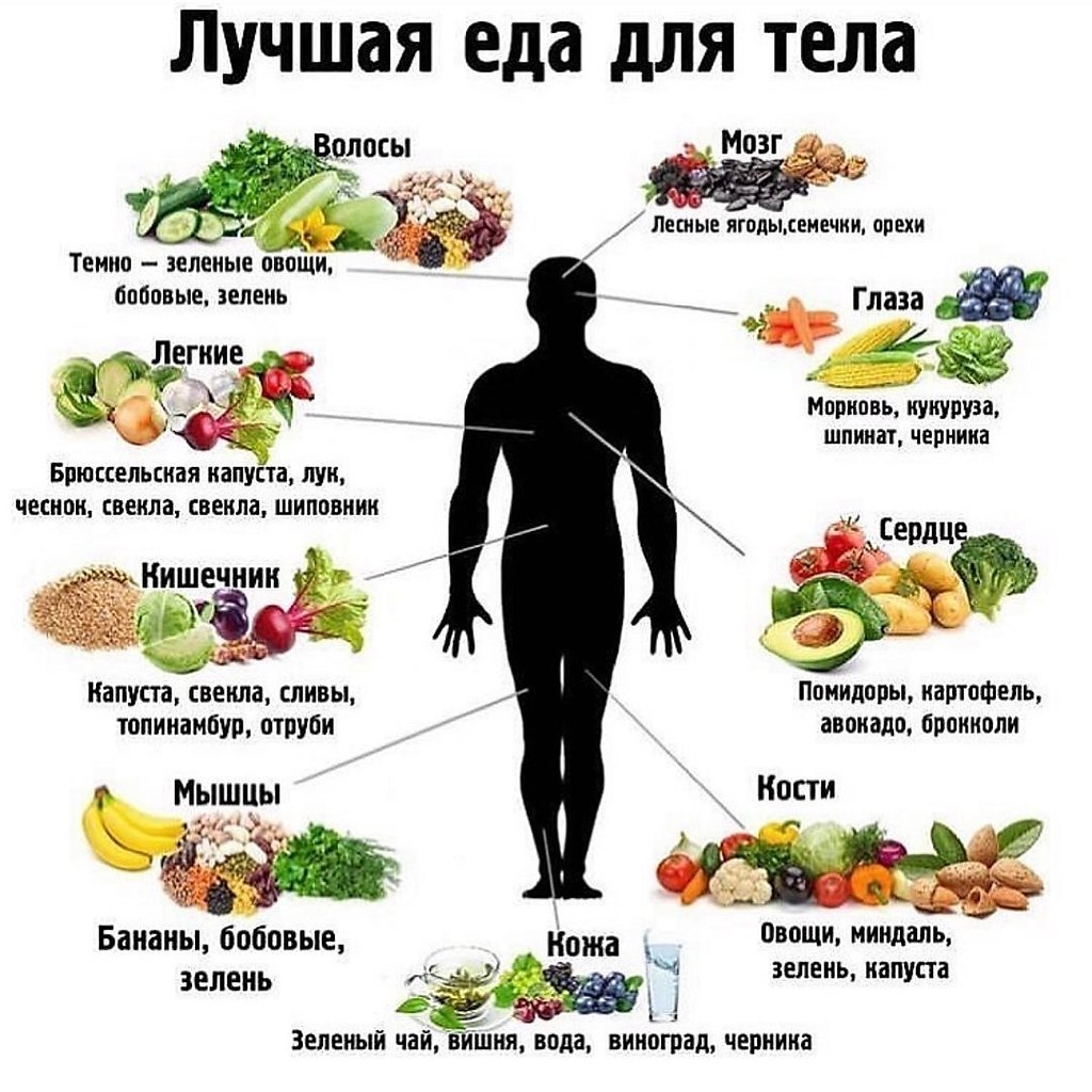 Список полезных продуктов питания