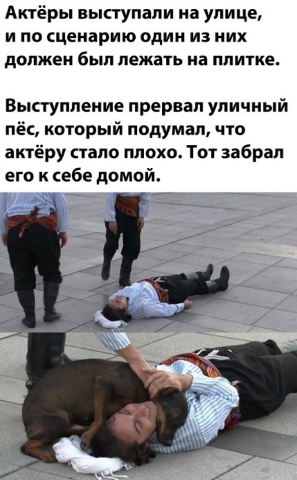 �� ���������� ���� ר! - 19 �������� 2020 � 13:24