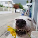  ••,  -  17  2021   