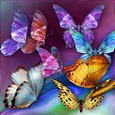 ���� �����, ������, 34 ���� - ��������� 5 ������� 2020 � ������ ���� ����������