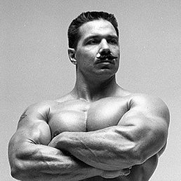 ������, ����������, 36 ���