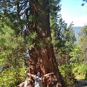 ���� �����, ����, 55 ��� - ��������� 28 ������ 2020 � ������ ���� ����������