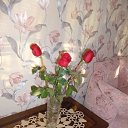 ���� �������, ������� - ��������� 23 ������� 2020 � ������ ���� ����������