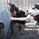 ���� ���� �����������, ������������, 58 ��� - ��������� 24 ������� 2020 � ������ ���������