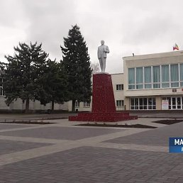 �����, ������, 53 ����