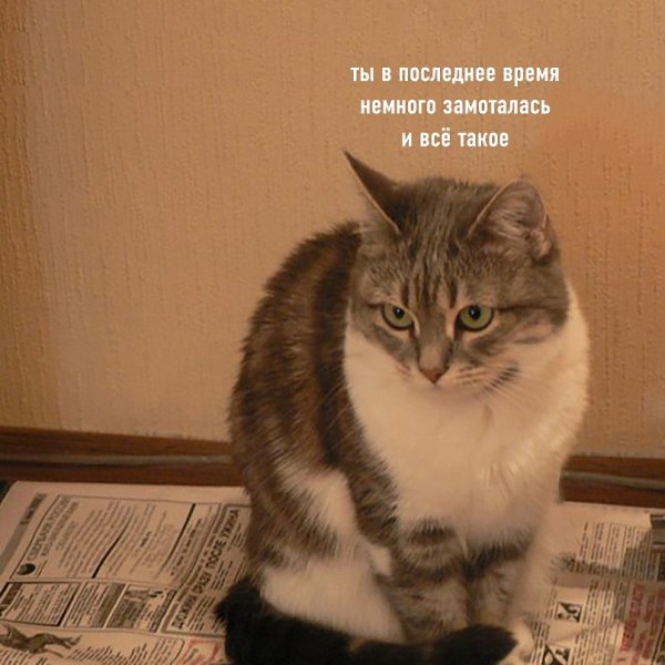 ,  - 2
