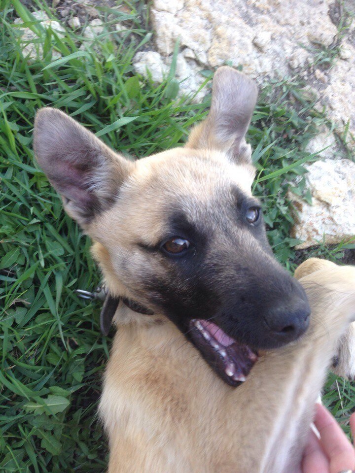 ����.2 ������ , ������� � �������