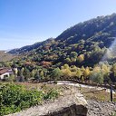 ���� ������, ������, 43 ���� - ��������� 22 ������� 2020 � ������ ���� ����������