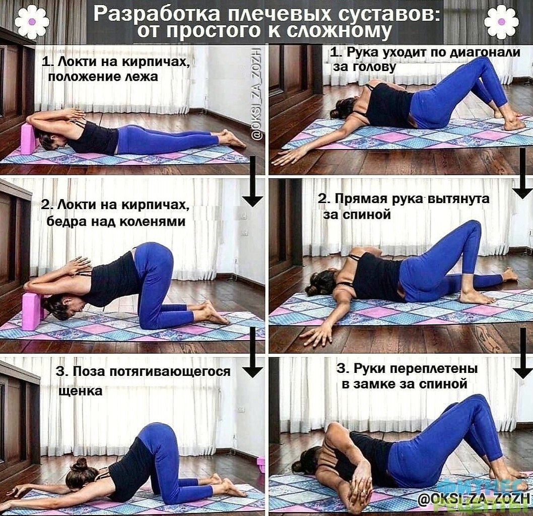 Papaoa (paccaee) eex cycao.y  ope