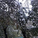 ���� ������, ������ - ��������� 7 ������� 2020 � ������ ������ ��������