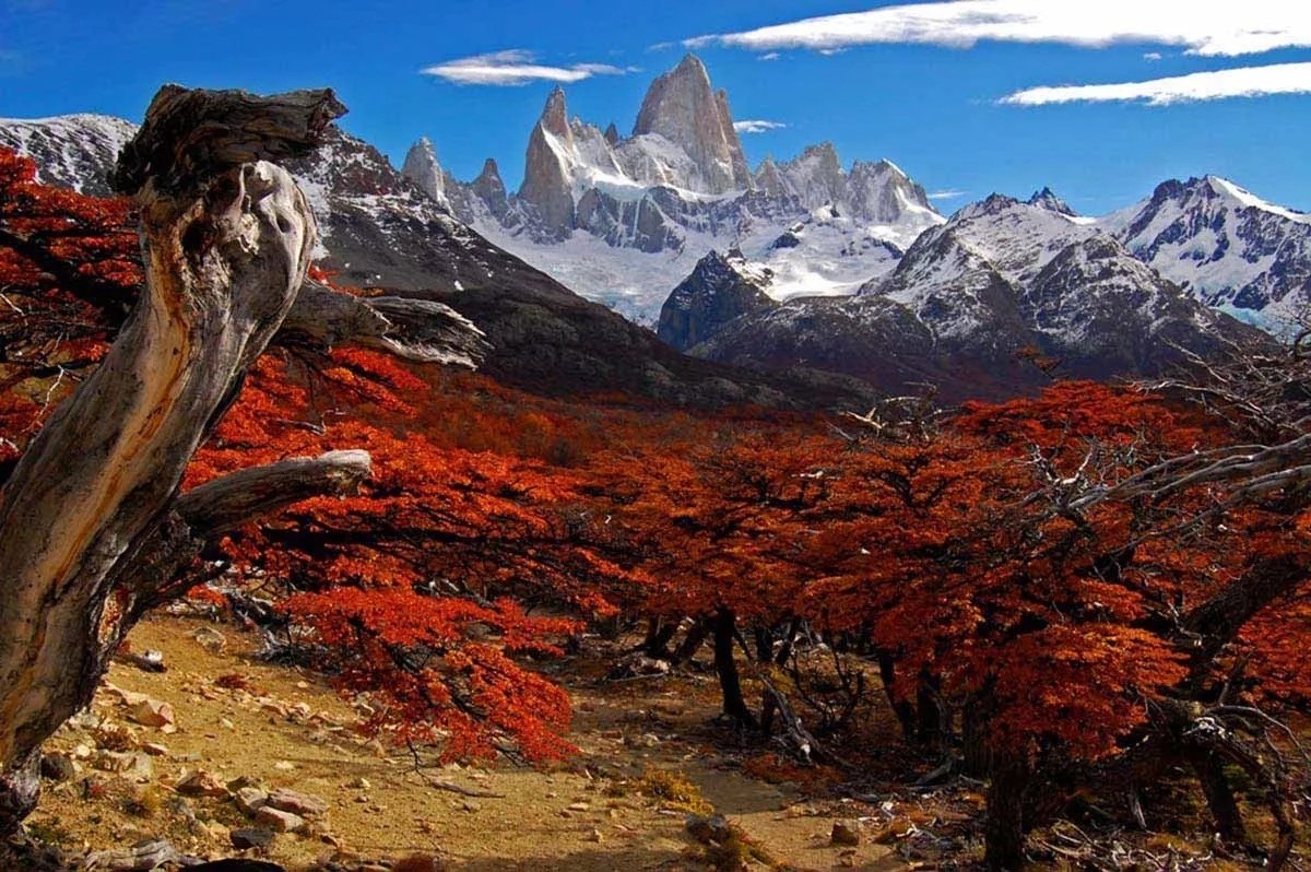 Patagonia, Argentina.