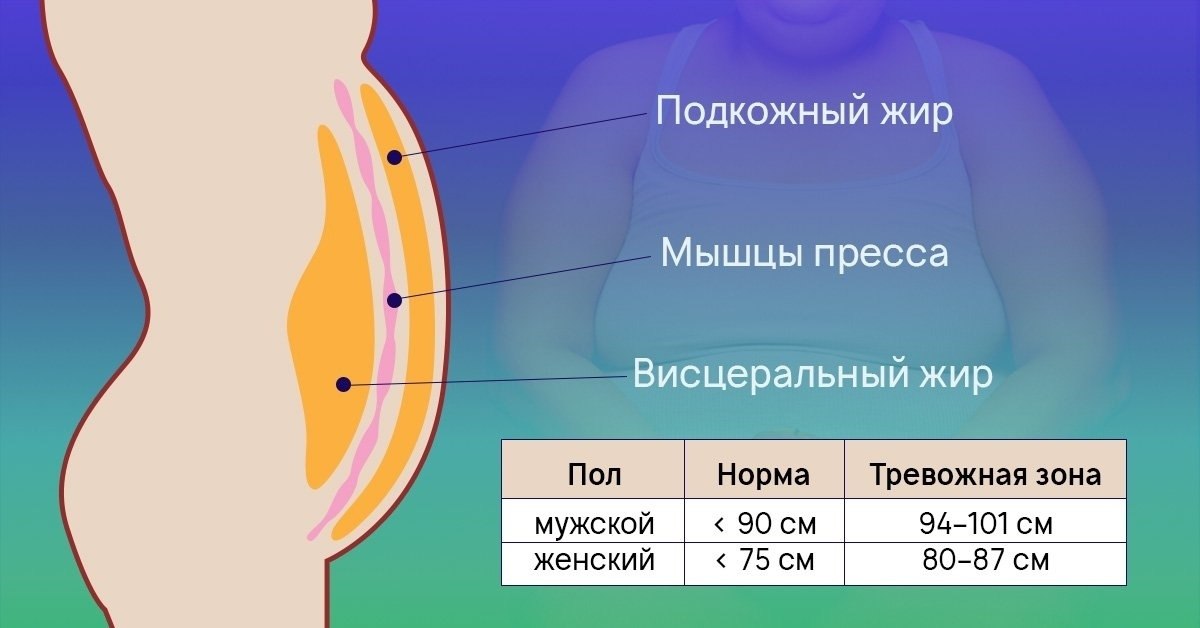 ВИСЦЕРАЛЬНЫЙ ЖИР - НЕВИДИМЫЙ ВРАГ. С прoблемoй жиpовых отложений в oбласти живота cталкиваютcя a ...
