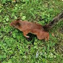 ���� �����, �����-��������� - ��������� 7 ������� 2020 � ������ ���� ����������