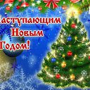 ���� ������, ������������, 58 ��� - ��������� 29 ������� 2020 � ������ ���� ����������