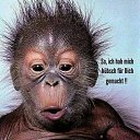 ���� Viktor, �����������, 42 ���� - ��������� 14 ������� 2020 � ������ ���� ����������