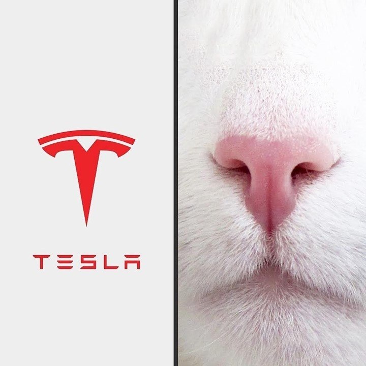   ,   Tesla -   