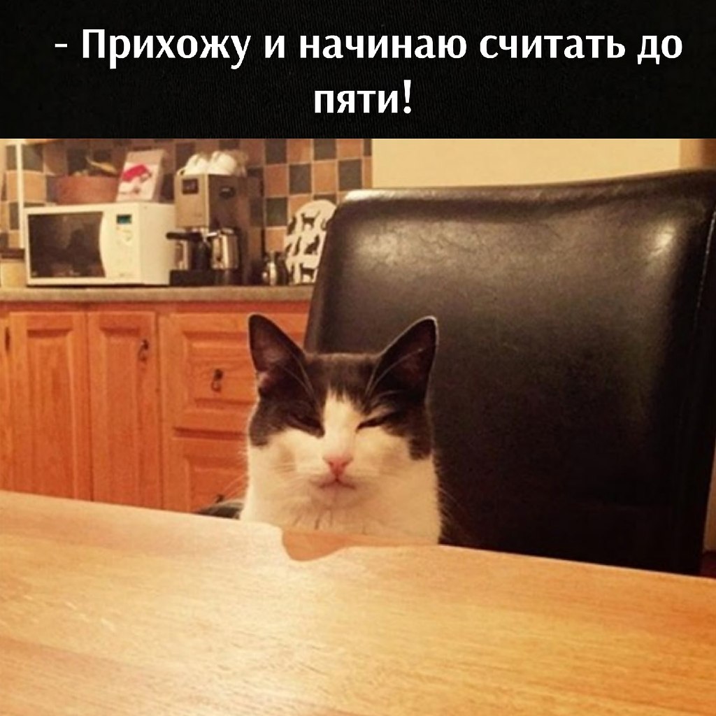 ��� ���� � ����� �� �� - 13 ����� 2021 � 09:34 - 2