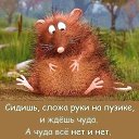 ���� ���������, ������ - ��������� 9 ������� 2020 � ������ ���� ����������