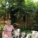 ���� �����, ��������, 61 ��� - ��������� 27 ������� 2020 � ������ ���� ����������