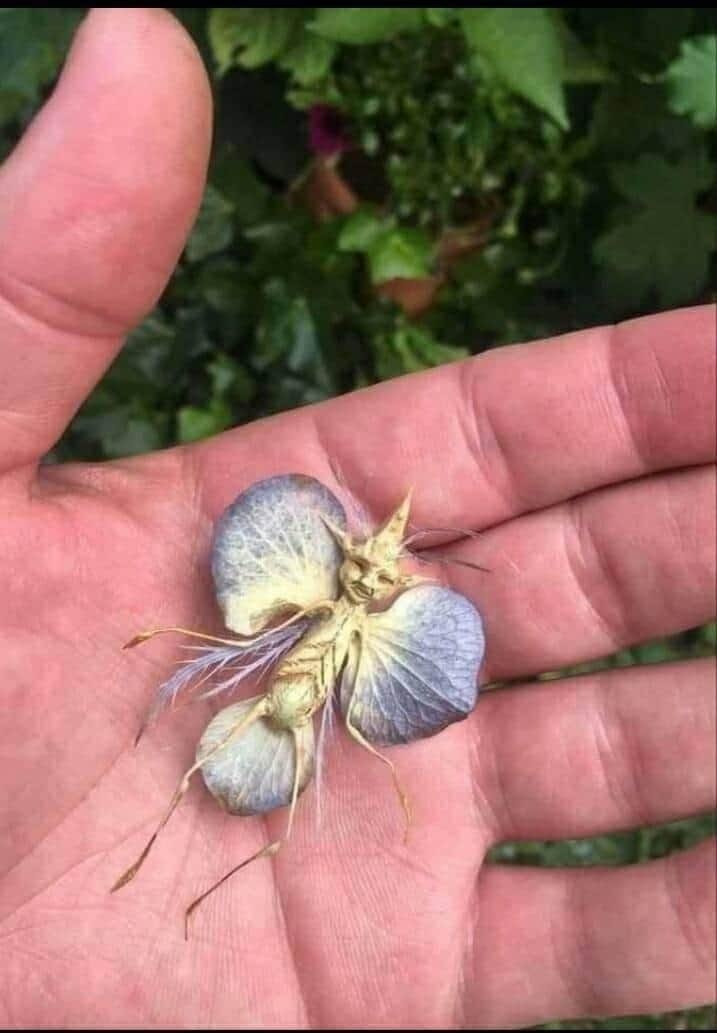 ��� ���? ���������� ��� ��� �����? ����� ������ �� �����. ������ � �� �������.