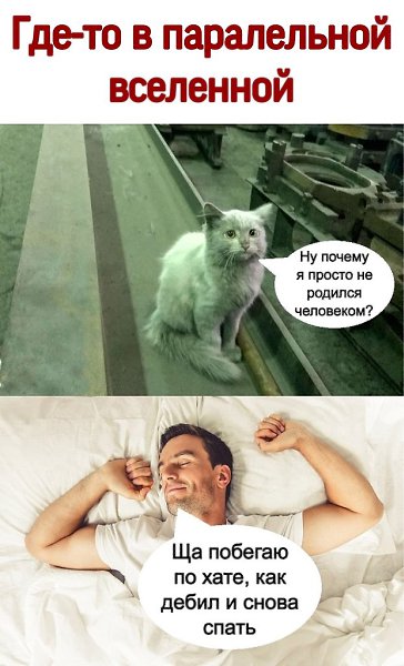 ������ - 20 ������ 2021 � 20:48