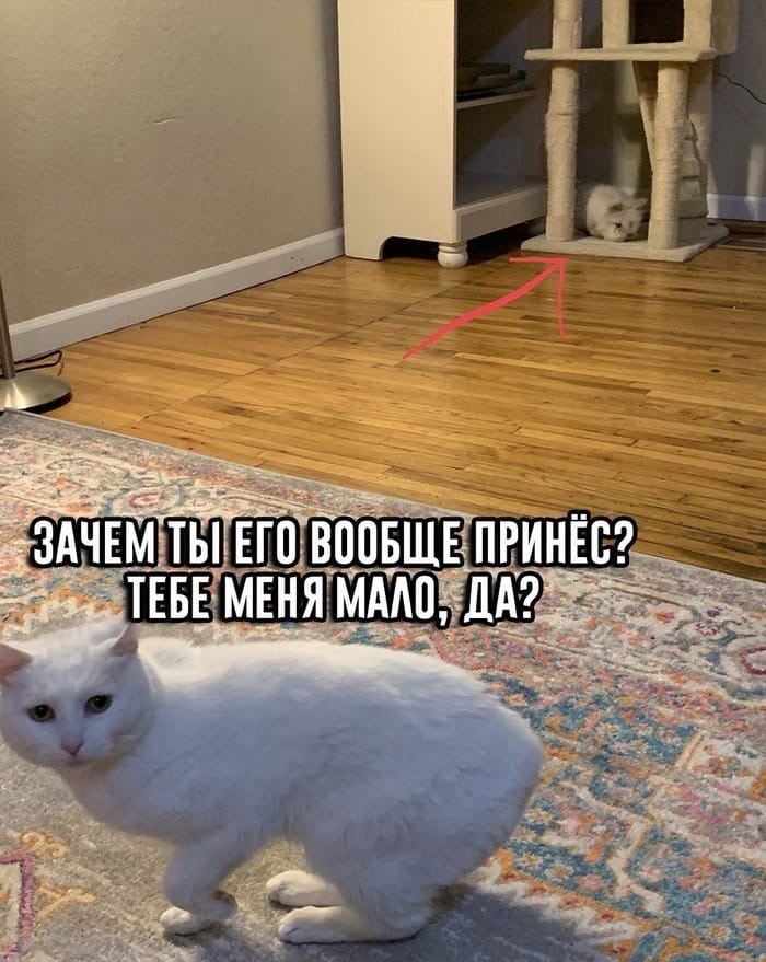     - 2