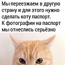 ���� �����, ���������, 41 ��� - ��������� 23 �������� 2020 � ������ ������ ��������