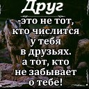 ���� ��������, ������ - ��������� 5 ������ 2020 � ������ ���� ����������