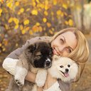 ���� �������, ���� - ��������� 3 �������� 2020 � ������ ���� ����������