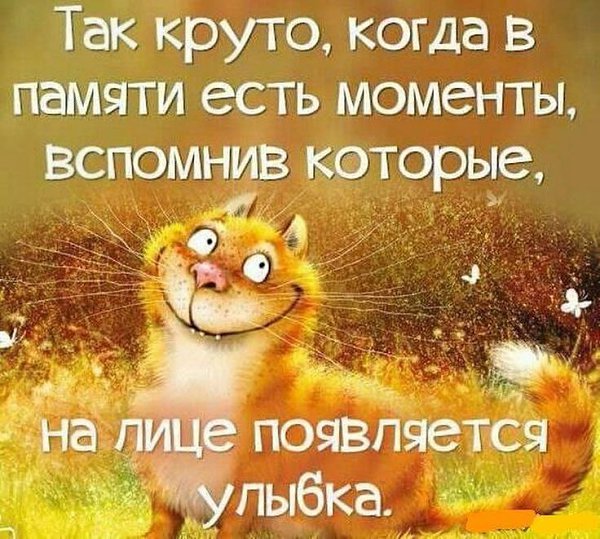 ����� � ����� ����� ����� ����� ����� ����� ��������! ������� � ���������� ��� ����!