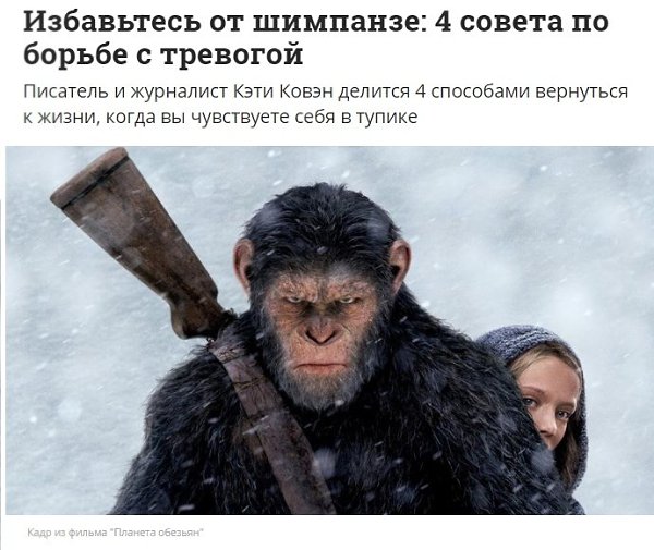 Если вы чувствуете себя в тупике: 4 совета по борьбе с тревогой