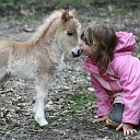 Фото Андрей, Санкт-Петербург, 60 лет - добавлено 27 августа 2020