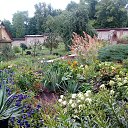 ���� �����, ���, 67 ��� - ��������� 10 ������� 2020 � ������ ������ ��������