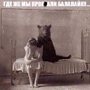 ���� ��������� ��������, ������, 62 ���� - ��������� 19 ������� 2020 � ������ ���� ����������