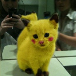 ���� ������, ��������, 36 ���