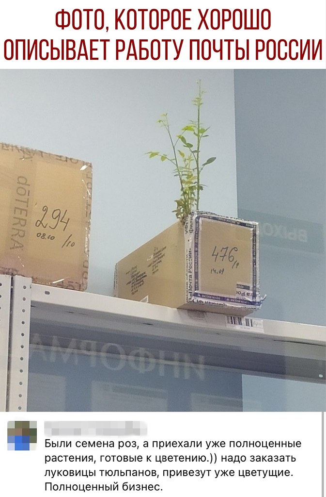 ������ - 12 ������� 2020 � 18:58